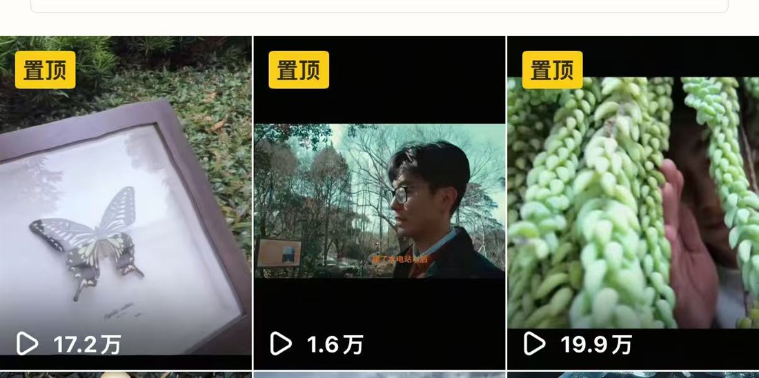 抖音置顶三条作品截图